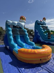 IMG 3607 1752885511 Beach Wave Jr 12ft